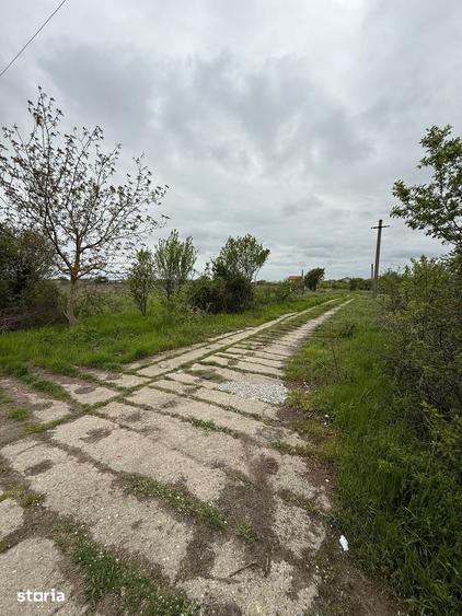 Teren de 5562 mp, în Central