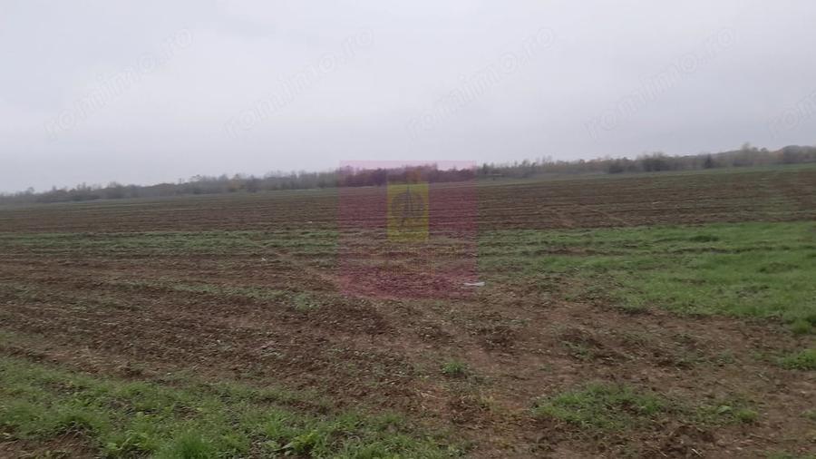 Teren de 2250 mp, în 1 Decembrie