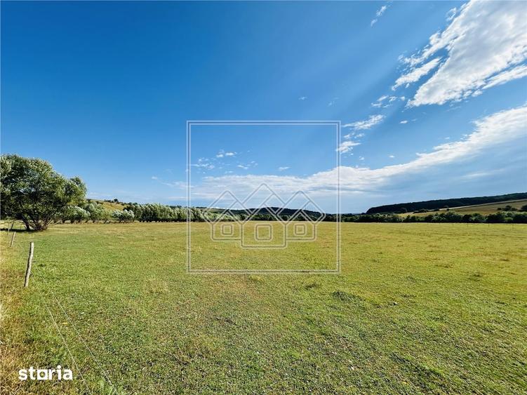Teren intravilan, 5861 mp - Tocile - 1