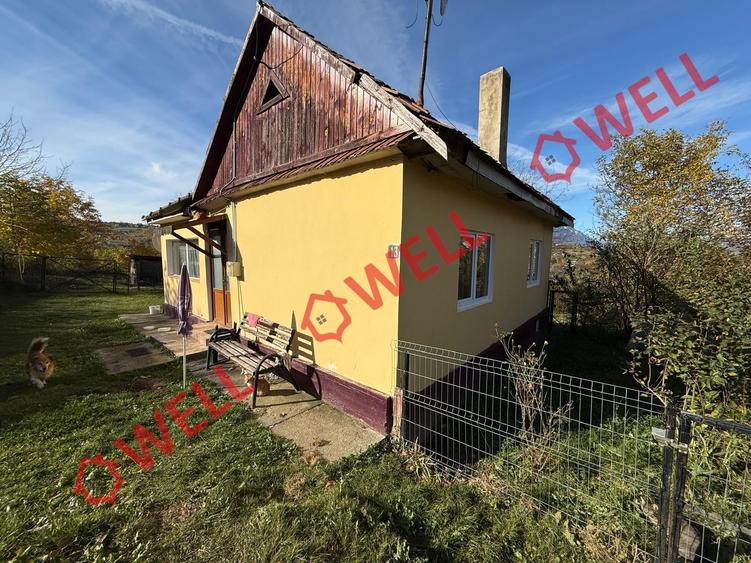 Casă individuală cu 2 camere cu Teren 4831 Mp în Sohodol