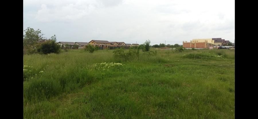 Teren 1500mp Domnesti, Str. Ghioceilor, Deschidere 43m Toate utilitatile, Ideal Proiect Case / Duplex - 1