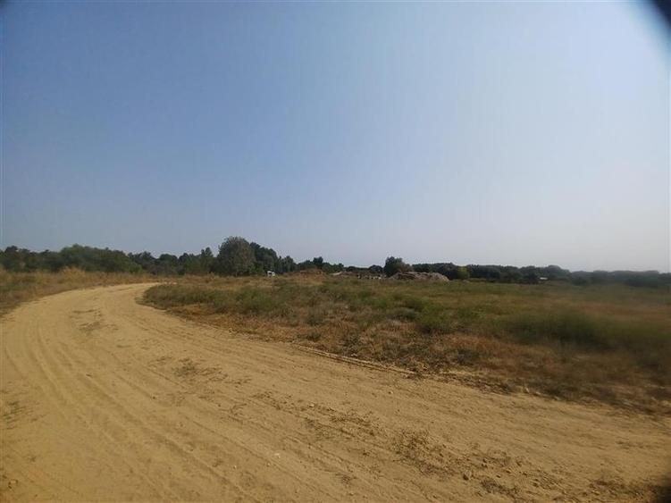Teren extravilan de 38000 mp, în Adunații-Copăceni