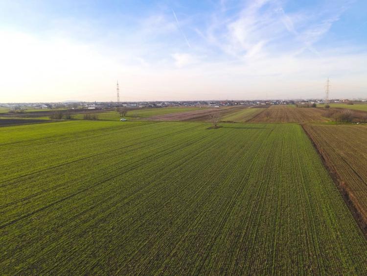 Teren agricol extravilan de 12442 mp, în Berceni