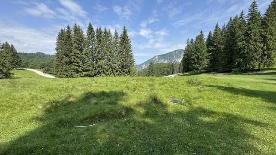 Teren agricol intravilan de 6000 mp, în Nord