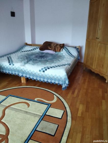 Casă cu 2 camere cu Teren 8000 Mp în Budieni