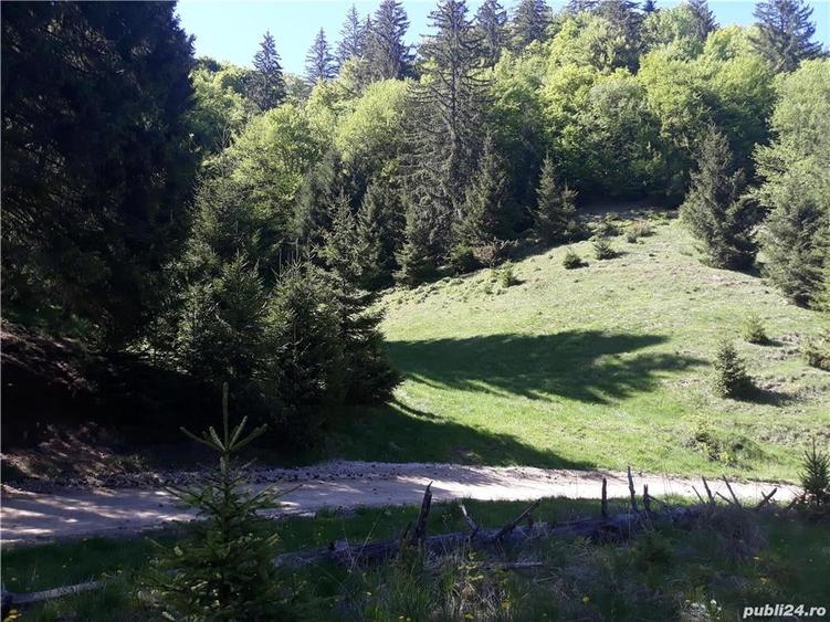 Teren de 4000 mp, în Poiana Brașov