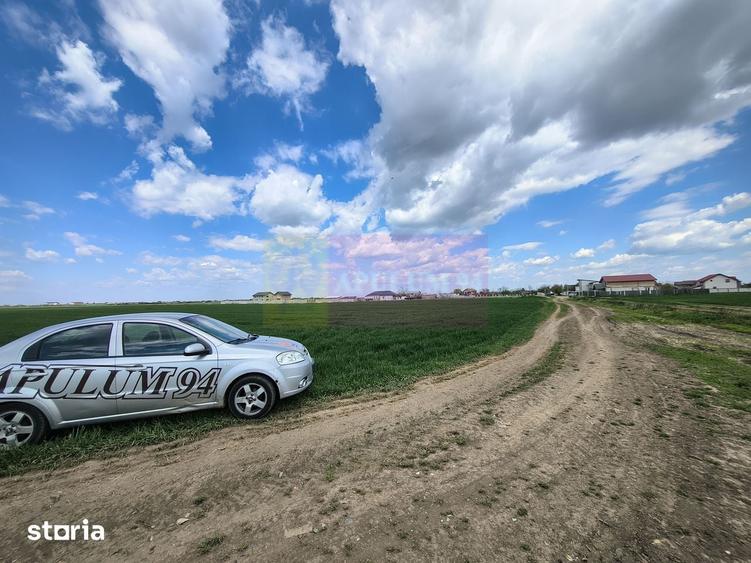 Teren de 12450 mp, în Cernica