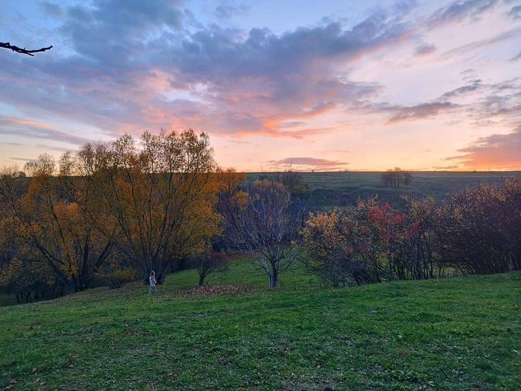 Teren Construcții intravilan de 2200 mp, în Mănăstioara (Siret)