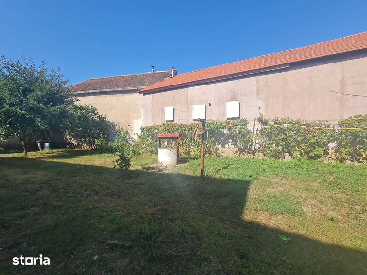 Casă cu 4 camere cu Teren 2500 Mp în Bod