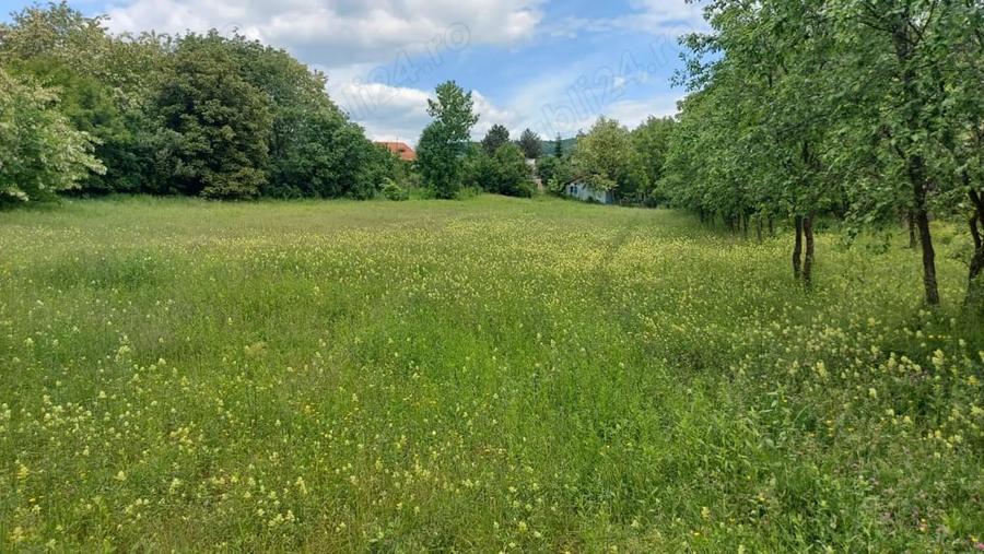 Teren de 2500 mp, în Drajna
