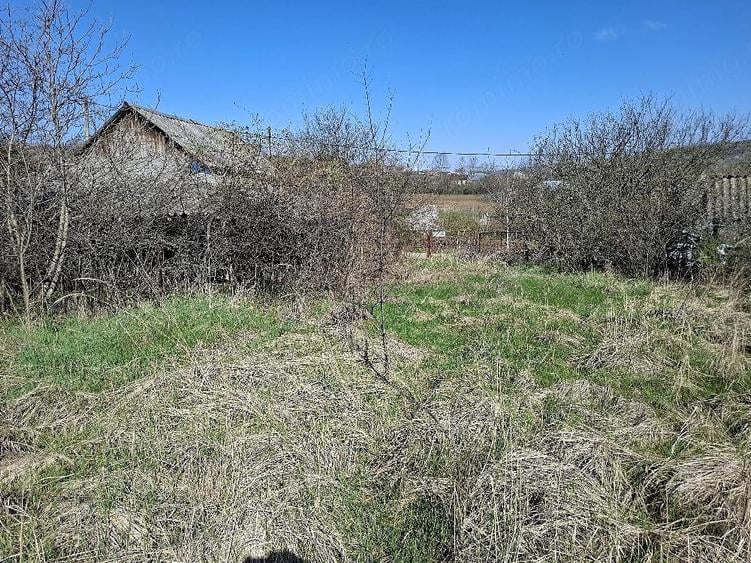 Teren de 2600 mp, în Dobrușa