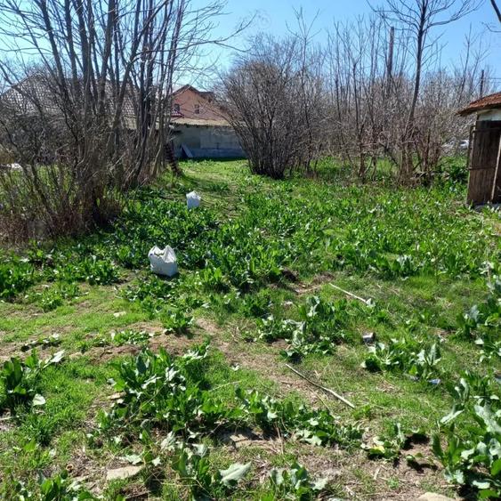 Teren de 5000 mp, în Mihai Viteazu