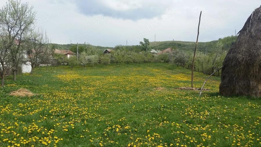 Teren de 2000 mp, în Central