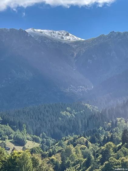 Teren de 10000 mp, în Bran