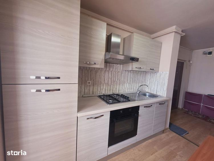 Inchiriez 2 camere decomandat pet friendly Triaj - 6