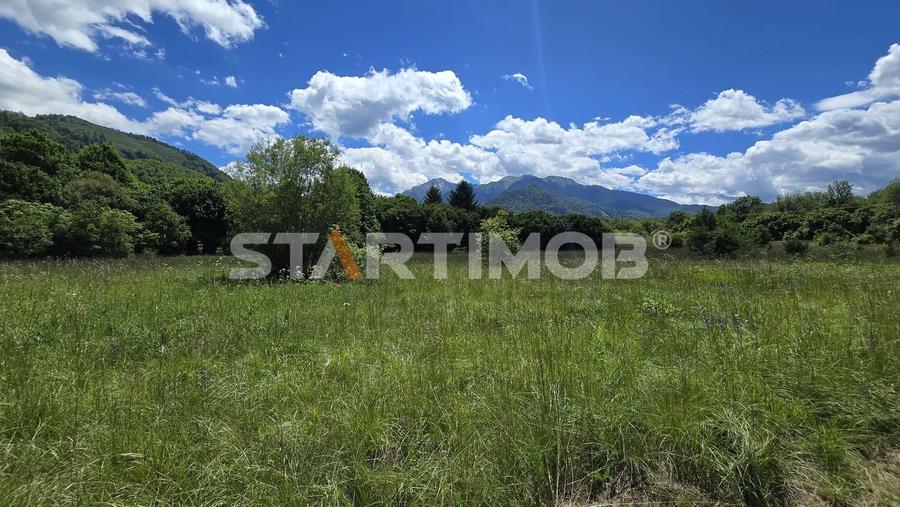 Teren Construcții extravilan de 5000 mp, în Glăjărie