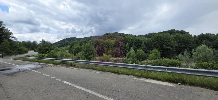 Casă cu 5 camere cu Teren 2200 Mp în Provița de Sus