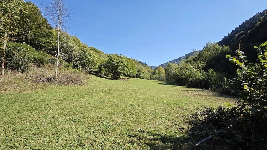 Teren de 4492 mp, în Tarcău