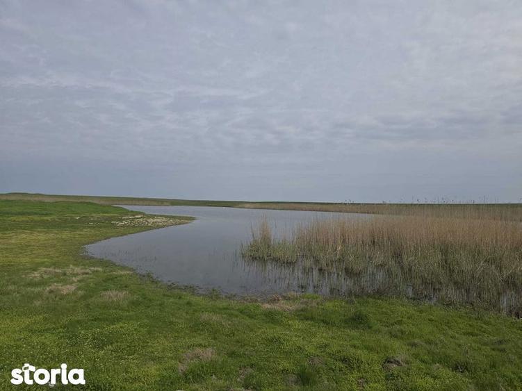 Teren de 230000 mp, în Reviga
