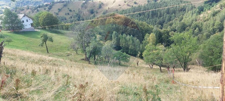Teren agricol intravilan de 4608 mp, în Măgura