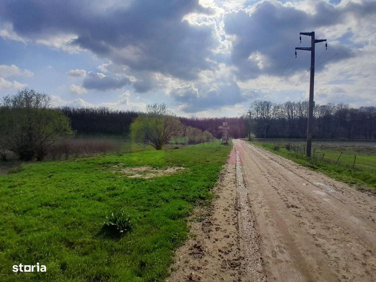 De Vanzare Teren 3400 Mp In Sat Podu Ilfovat / Com Buturugeni (Gr) - 7