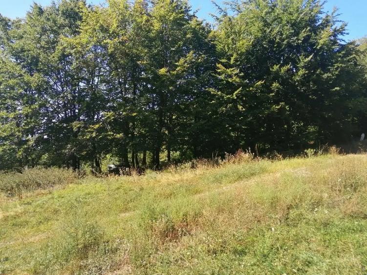 Teren de 4100 mp, în Central