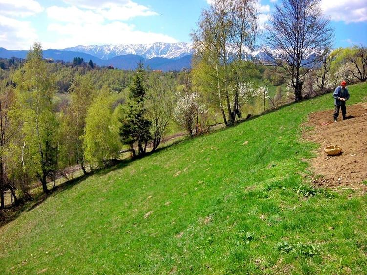 Teren Construcții intravilan de 14000 mp, în Bran