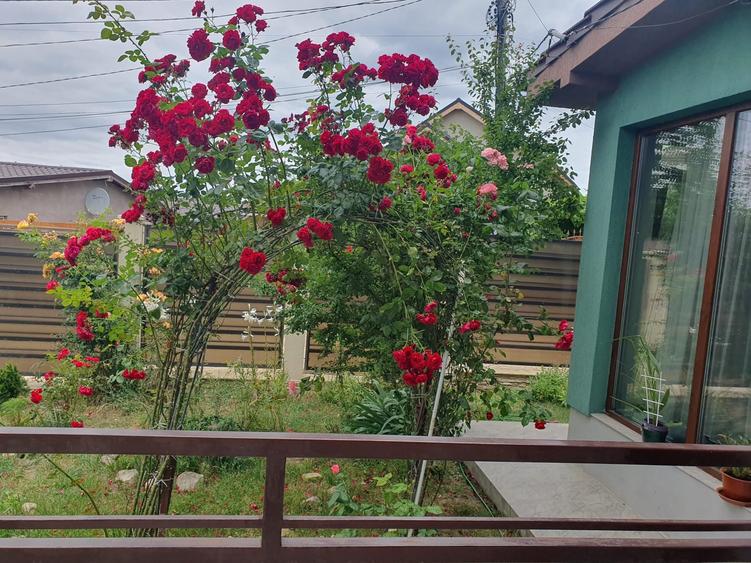 Casă individuală cu 10 camere cu Canalizare în Exterior Vest