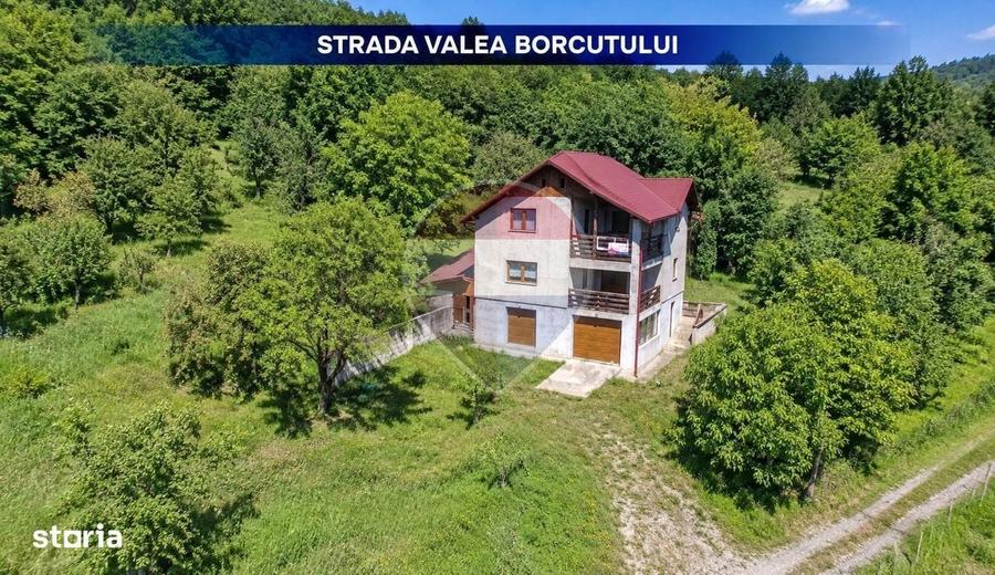 Casă cu 3 camere în Valea Borcutului