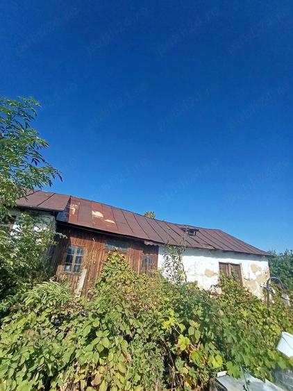 Casă cu Teren 6500 Mp în Bonțești