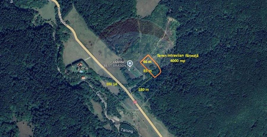 Teren Construcții intravilan de 4003 mp, în Babarunca