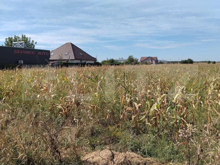 Teren Construcții intravilan de 5400 mp, în Matraca