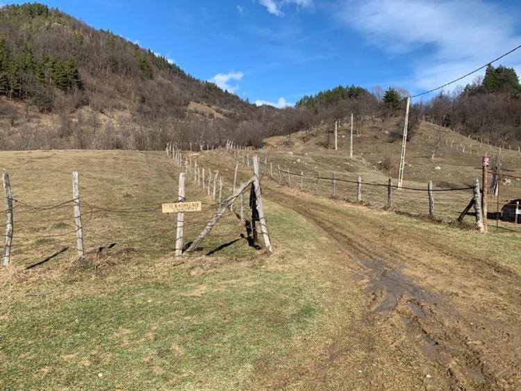 Teren Nehoiu, pentru cabană offgrid sau glamping - 1