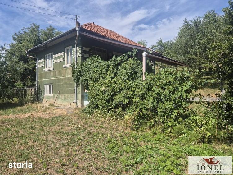 Casă cu 3 camere cu Teren 2651 Mp în Almașu Mare