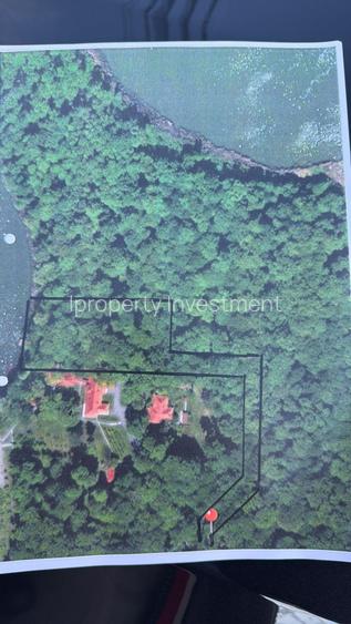 Teren 7000 Mp Deschidere Lac 42Ml Snagov Padure