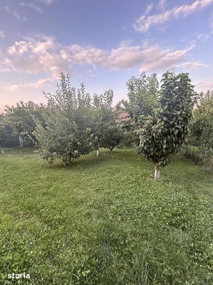 Casa 2013, curte cu pomi fructiferi, zona lini?tita, Brane?ti - 10