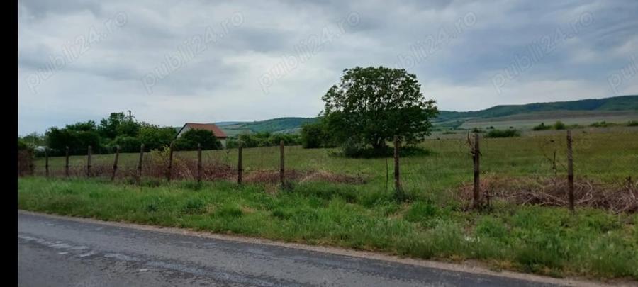 Teren de 11780 mp, în Merei