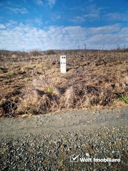 Teren agricol intravilan de 838 mp, în Iris