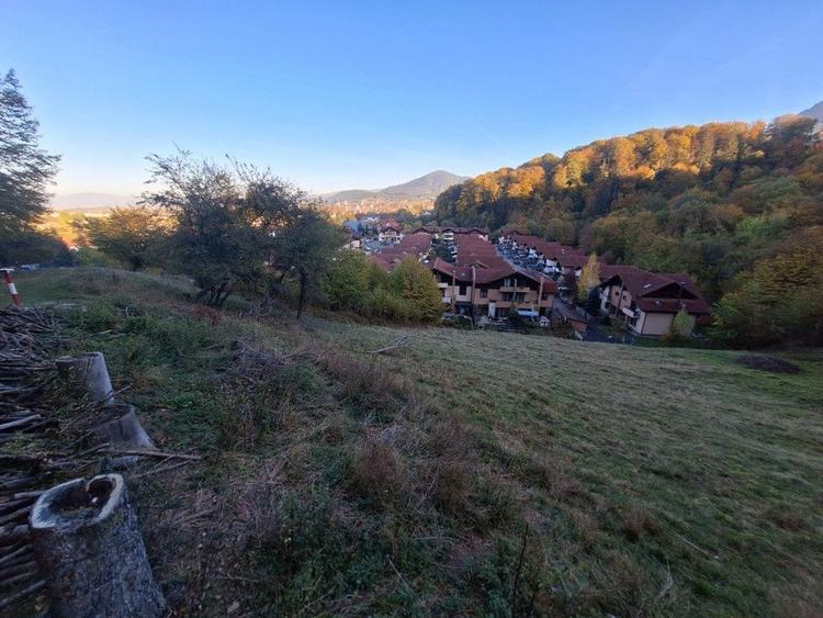 Teren Construcții intravilan de 2900 mp, în Dârste