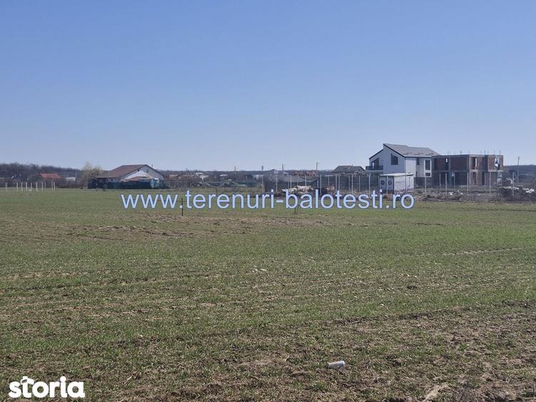 Teren de 620 mp, în Balotești
