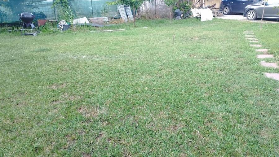 Teren 300 mp de vinzare Snagov aproape de lac. - 1
