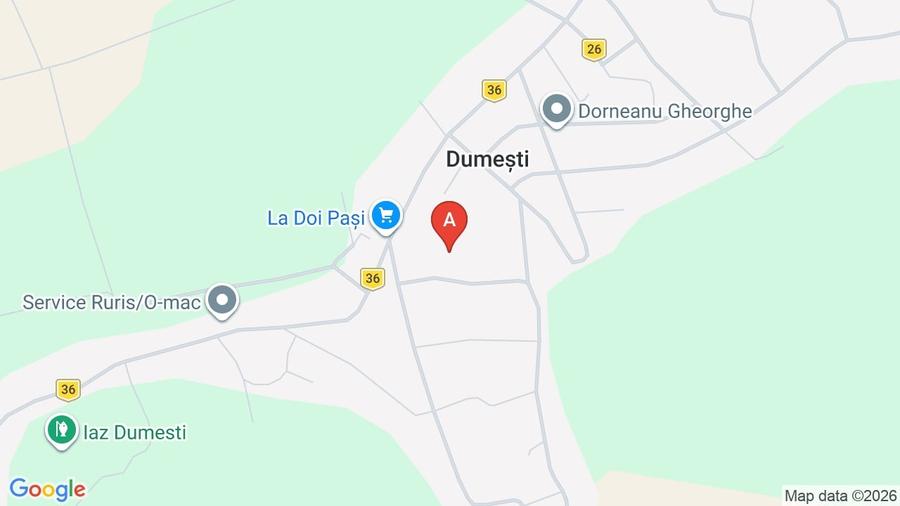 Teren Construcții intravilan de 3000 mp, în Dumești