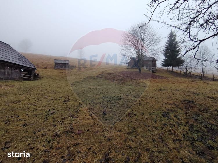 Teren de 26238 mp, în Dorna-Arini