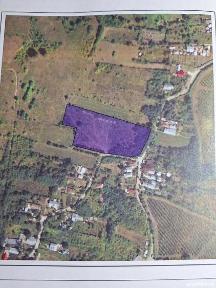 Teren de 8000 mp, în Jercălăi