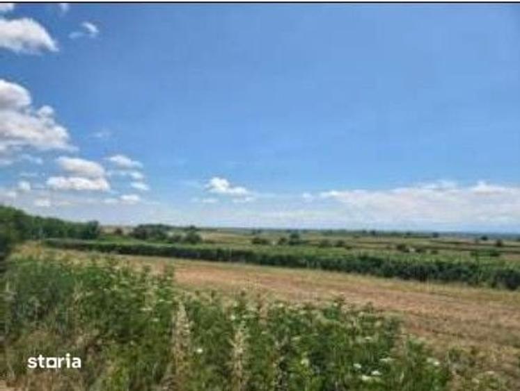 Teren de 10000 mp, în Prundu