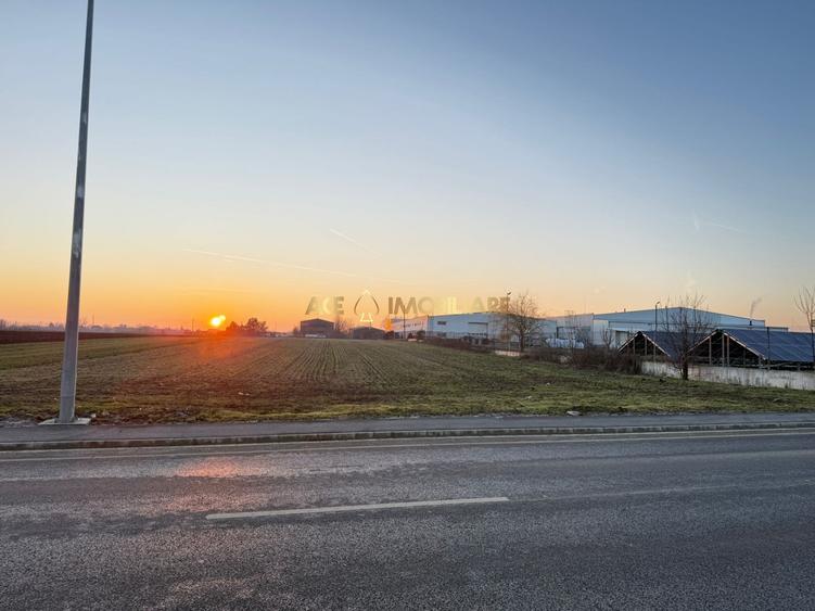Teren Construcții intravilan de 2500 mp, în Brănești