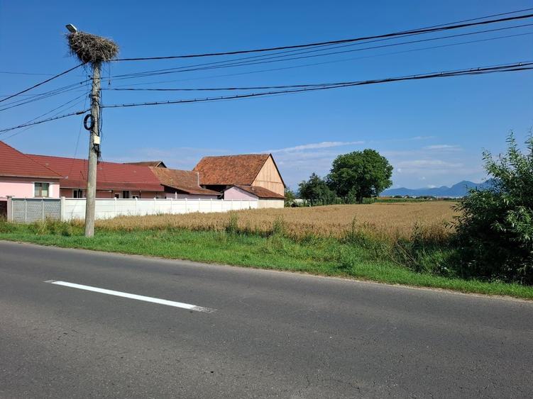 Spațiu comercial, în Stupini