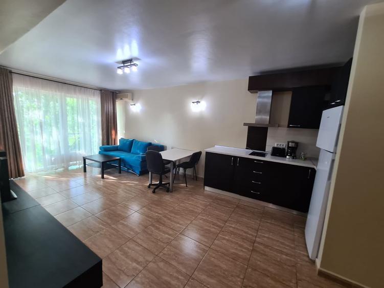 Apartament cu 2 camere  Sat Vacanta zona hotel Parc 400 euro - 9