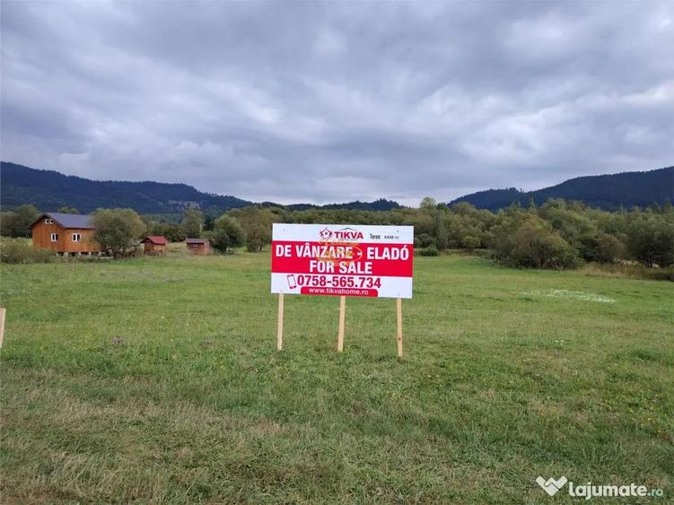 Teren în Vale