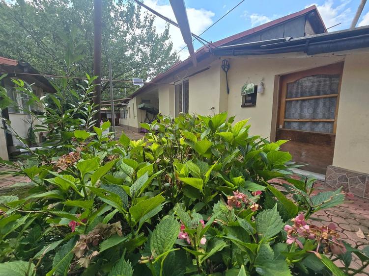 Casă Parter + teren 600 mp , Cartierul Andronache, Sector 2 - 23